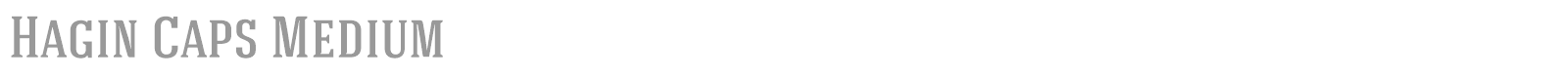 Hagin Caps Medium font preview
